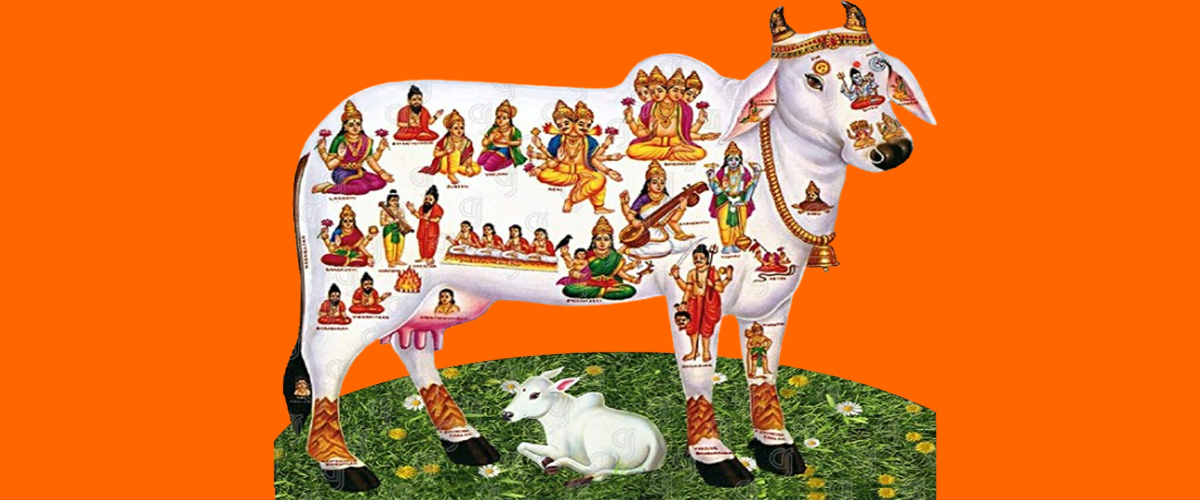 Society of Mission 4G Plus